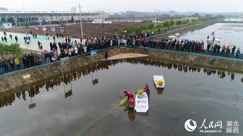 湖北潜江发布三条小龙虾主题旅游线路【2】