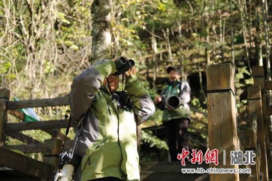 珠海市观鸟协会 副会长 郭竣工一行 郭竣工说 神农架生态环境好 生物多样性好 很多物种没有受到入侵和干扰 (3)