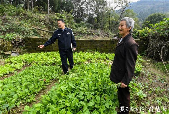 队长对话村民：大别山下，茶叶托起村民的希望