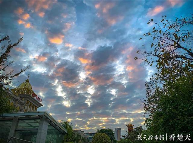 美爆了！江城天空出现“鱼鳞云”