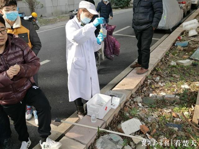 野猪闯入居民区，停留一夜还没走，动物专家赶来麻醉