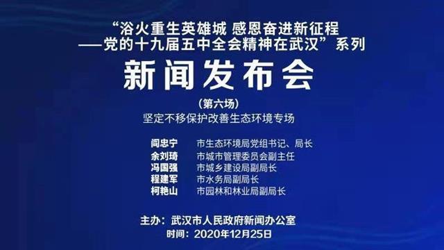 武汉将打造湿地花城特色的公园城市！让市民“300米见绿、500米见园”