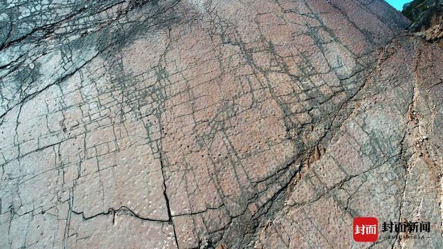 古生物学家确认：中国最大恐龙足迹点位于四川凉山 面积超9000平方米